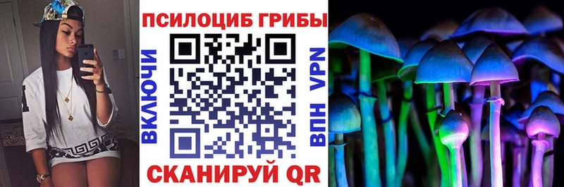 купить   Рубцовск  blacksprut ССЫЛКА  Галлюциногенные грибы Psilocybine cubensis 