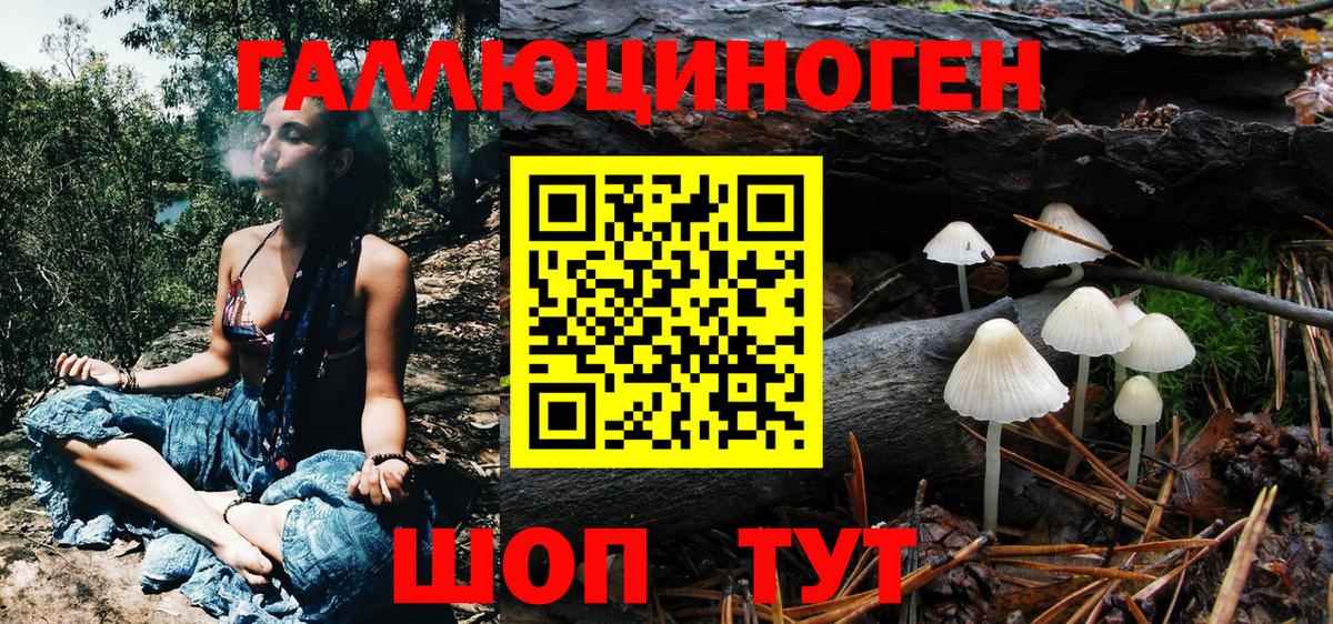 Рубцовск  Галлюциногенные грибы ЛСД  Вход с VPN 