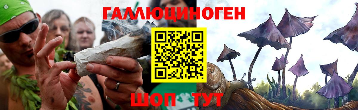 Галлюциногенные грибы Psilocybine cubensis Рубцовск